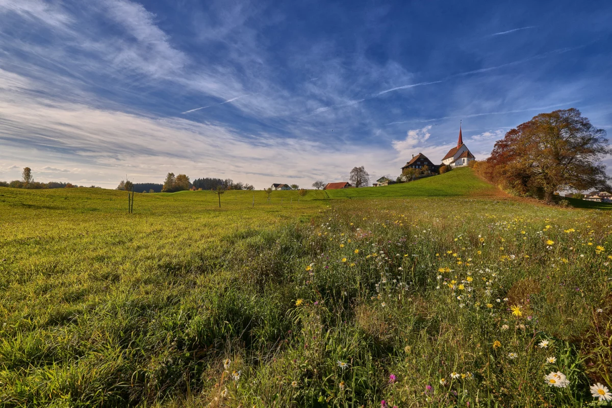 Architektura Japońska: Harmonijne Połączenie Tradycji i Nowoczesności