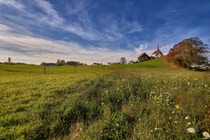 Nauka projektowania architektury: Kluczowe umiejętności i wyzwania w nowoczesnym świecie