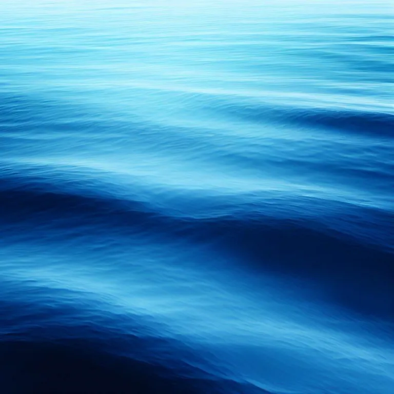 Niebieski Ocean: Odkrywanie Nisz Rynkowych